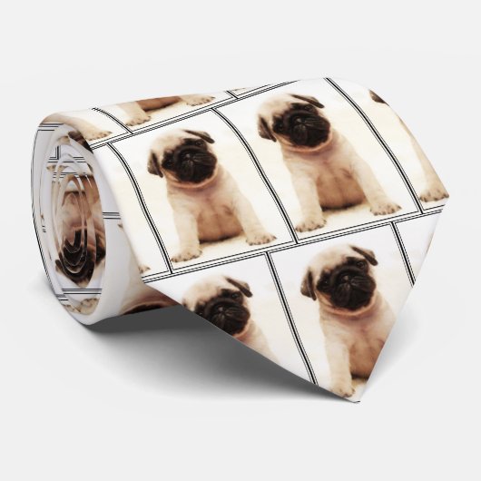 Stropdas van puppy (Opgerold)