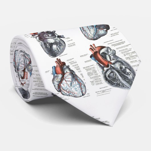 Stropdas voor medische cardiologie (Opgerold)