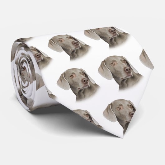 Stropdas Weimaraner (Opgerold)