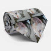 Stropdas, witte kat stropdas (Opgerold)