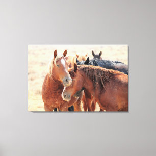 Stropdassen van de familie wilde paarden canvas afdruk