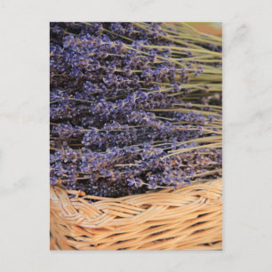 Stropjes Lavendel Briefkaart