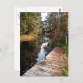 Strowater in Florida Briefkaart (Voorkant / Achterkant)