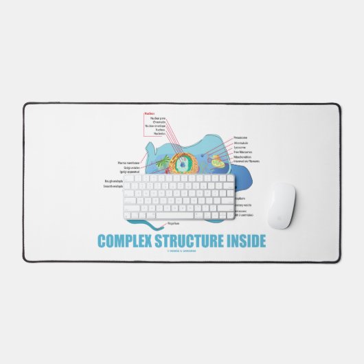 Structure complexe à l'intérieur de la cellule Euk (Clavier et souris)
