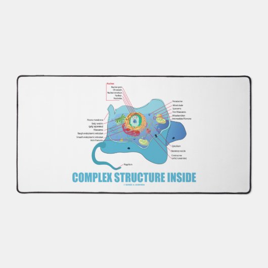 Structure complexe à l'intérieur de la cellule Euk (Recto)