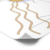Structure d'une affiche bactérienne (Coin)
