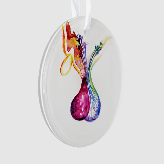 Structure hypophysaire (devant)