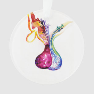 Structure hypophysaire