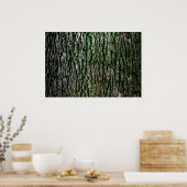 Structuur van de boomschors poster (Keuken)