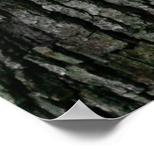 Structuur van de boomschors poster (Hoek)