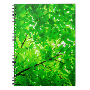 Structuur van de boomtak van het blad notitieboek