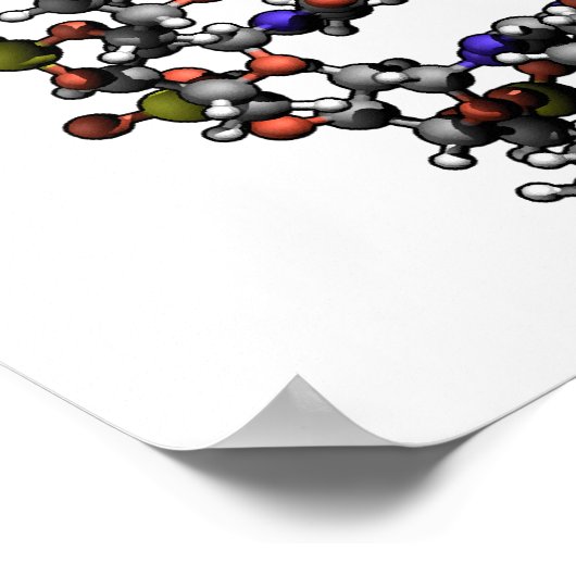 Structuur van DNA-deoxyribonucleïnezuurdiagram Poster (Hoek)