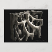 Structuur van een bot met osteoporose briefkaart (Voorkant)
