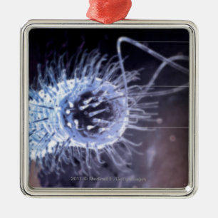 Structuur van een helicobacter pylori-cel metalen ornament