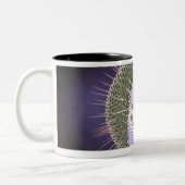 Structuur van het herpesvirus 2 tweekleurige koffiemok (Links)