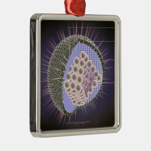 Structuur van het herpesvirus metalen ornament (Rechts)