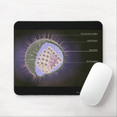 Structuur van het herpesvirus muismat (Met muis)