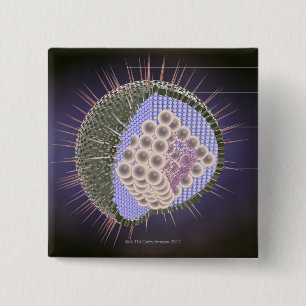 Structuur van het herpesvirus vierkante button 5,1 cm