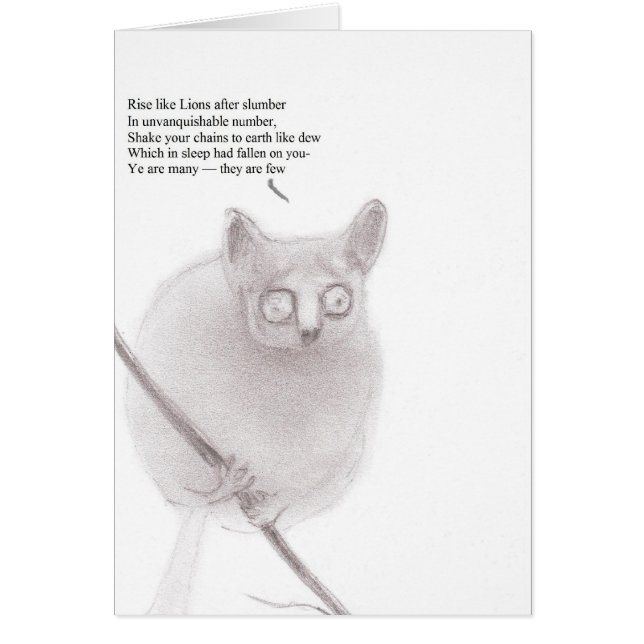 Struik baby anarchist (Voorkant)