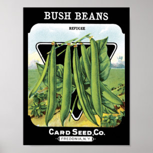 Struik Beans Kaart Seed Co. pakket Vintage Fredoni Poster
