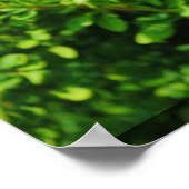 Struik bij Lagoon. Poster (Hoek)