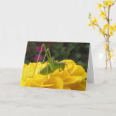 Struik Cricket Wenskaart Kaart (Gele Bloem)
