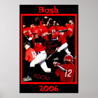 Struik Freshman Baseball Poster