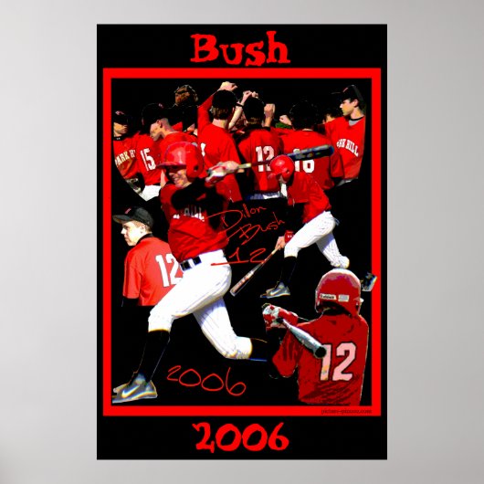 Struik Freshman Baseball Poster (Voorkant)