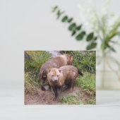 struik-hond-b-2 briefkaart (Staand voorkant)