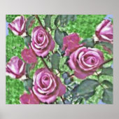 Struik lavender Roos Poster (Voorkant)