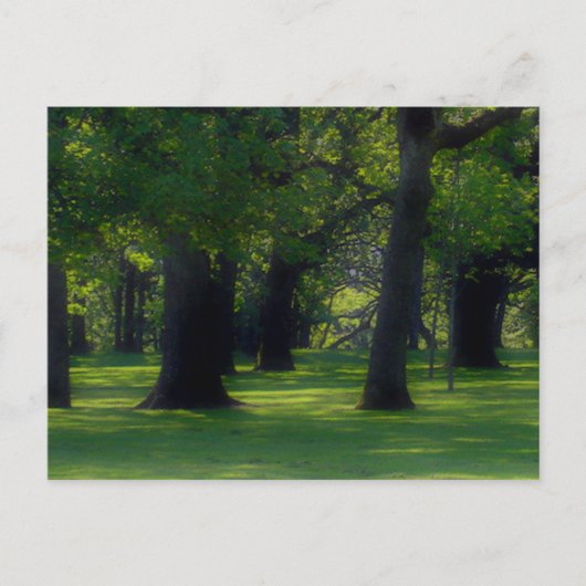 Struik Park Salem Oregon Briefkaart (Voorkant)