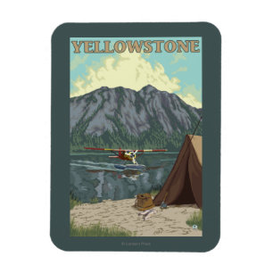 Struik Plane & Vist - Yellowstone National Magneet