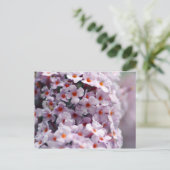 Struik van vlinder briefkaart (Staand voorkant)