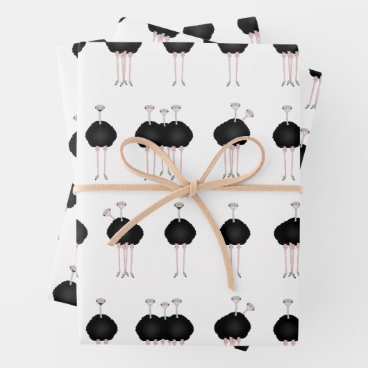 Struisbladen Papier voor onmiddellijke verpakking Inpakpapier Vel (In situ)