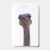 struisvogel badge (Back)