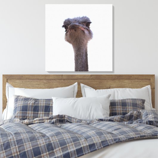 struisvogel canvas afdruk (Insitu (Slaapkamer))