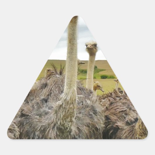 struisvogel driehoek sticker (Voorkant)