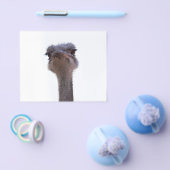 struisvogel flyer (Enkel)