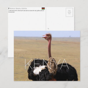 Struisvogel in Masai Mara, Kenia Reisansichtkaart Briefkaart