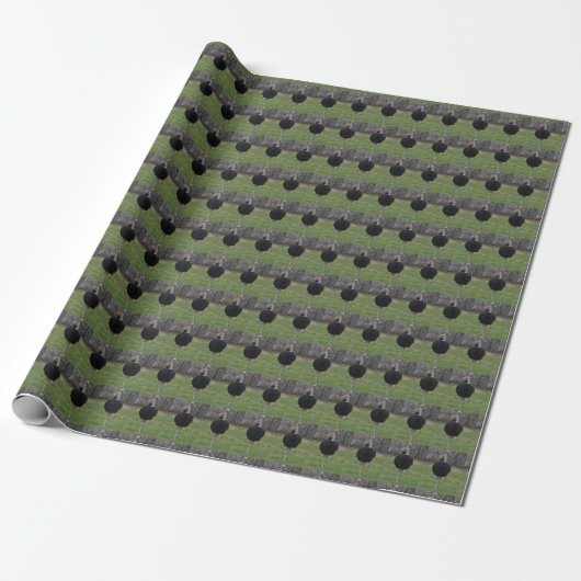 Struisvogel Inpakpapier (Uitgerold)