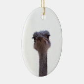 struisvogel keramisch ornament (Rechts)