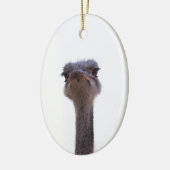 struisvogel keramisch ornament (Links)