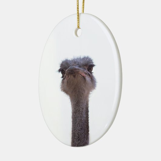 struisvogel keramisch ornament (Links)