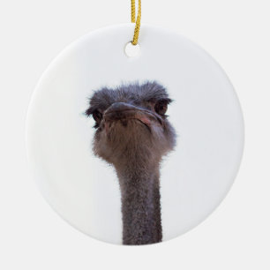 struisvogel keramisch ornament