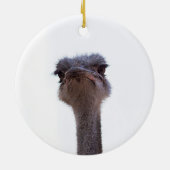 struisvogel keramisch ornament (Achterkant)