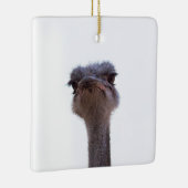struisvogel keramisch ornament (Rechts)