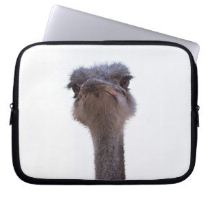 struisvogel laptop sleeve