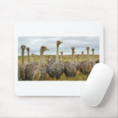 struisvogel muismat (Met muis)