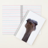 struisvogel notitieboek (Binnen)