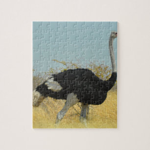 Struisvogel op een ren legpuzzel